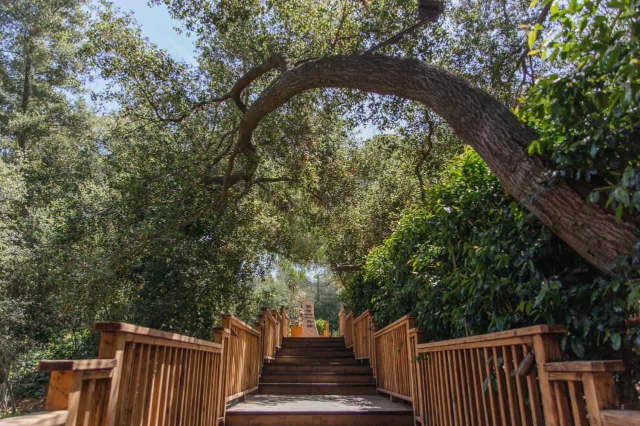 Calamigos Guest Ranch And Beach Club 5*